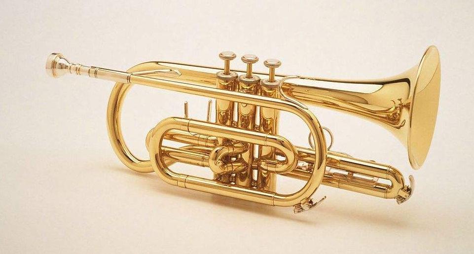 刚参加工作音乐老师年终总结,小号音乐基础教学入门零基础