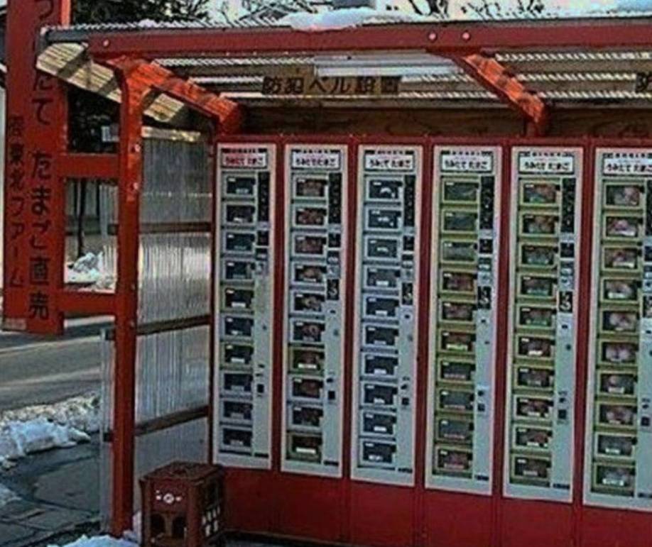 自动贩卖机里还能买到婚戒和电话号码?日本又一次让我大开眼界