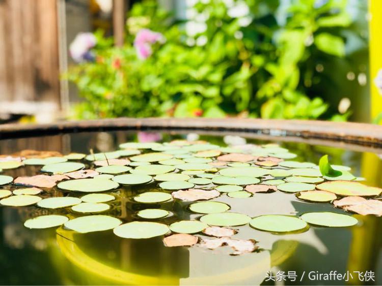 浙西深山里的小众秘境,隐匿在浙西大山里的绝美去处