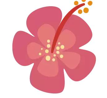 2023广东省运会足球女子比赛,福建宁德十七届省运会女子足球