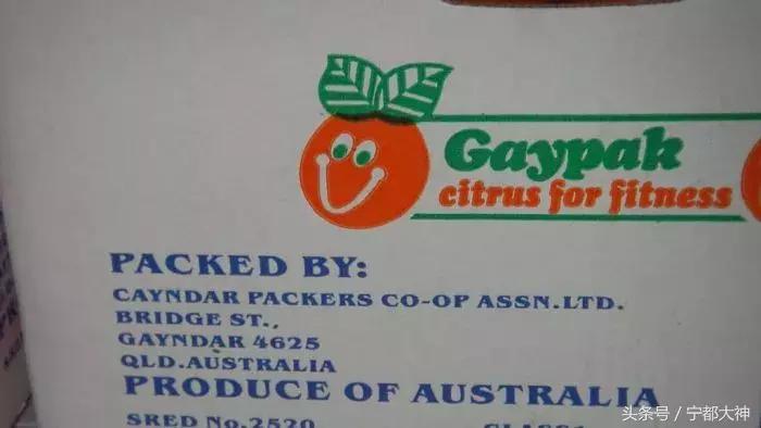 香港假药最新消息,香港海关查出假药