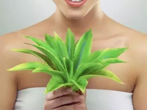 治妇科病中药有哪些,治妇科病的中药有哪些