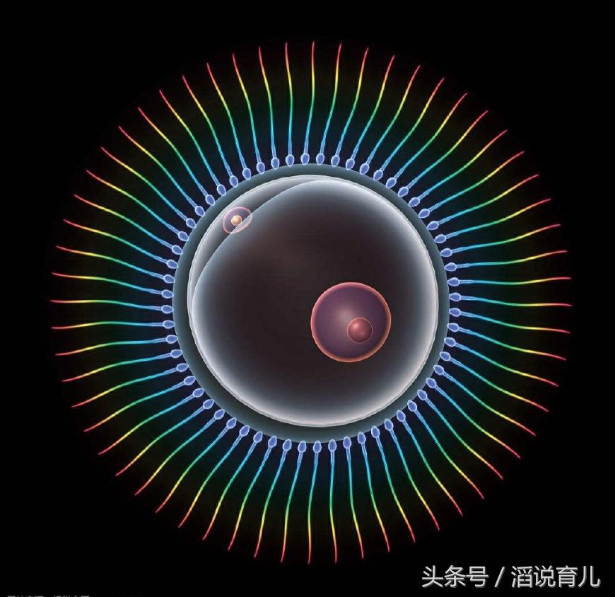 女人不停怀孕却不能生孩子,女人久久怀不上孩子多喝什么汤