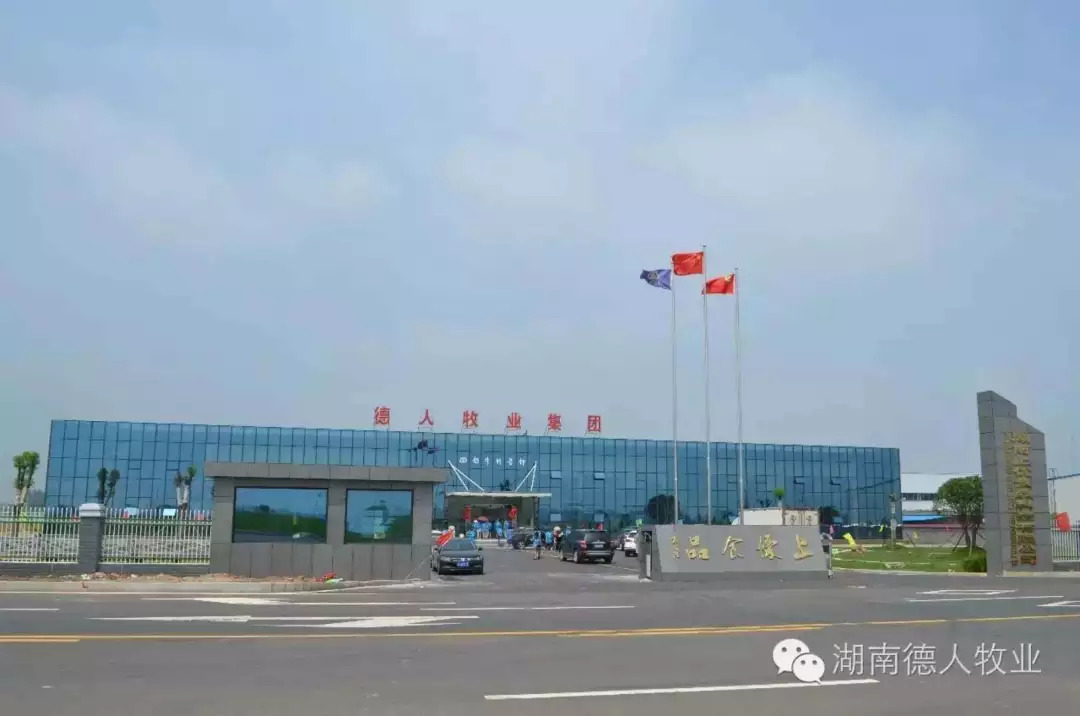 开放崛起新湖南,常德召开开放强市产业立市大会