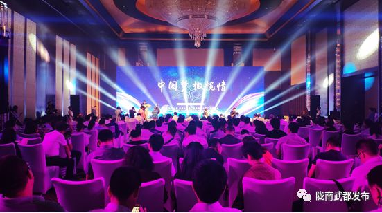 今生广种橄榄树，来世还做陇南人！