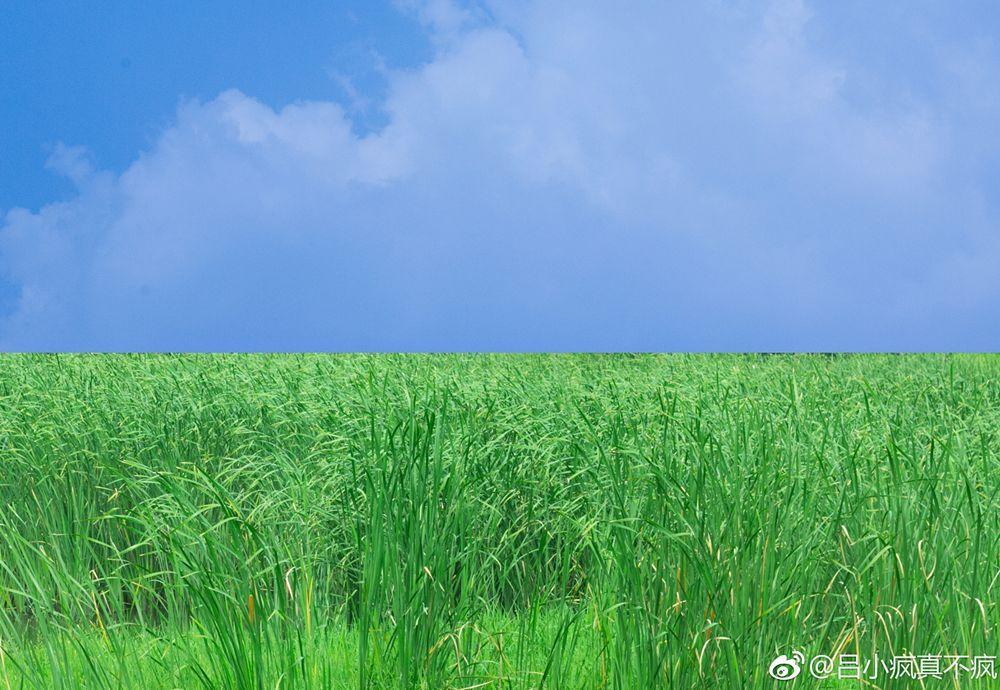 武汉一日游必去十大免费景点,武汉周边免费一日游自驾哪里好玩