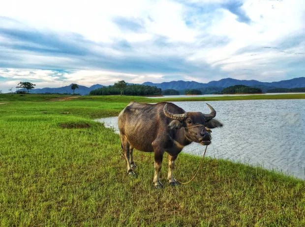 珠海高铁就能到的小县城，藏着圣托里尼的浪漫，济州岛的清新！
