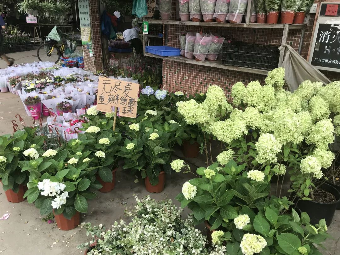 广州便宜又好看的批发市场,广州年前批发市场买衣服地方推荐