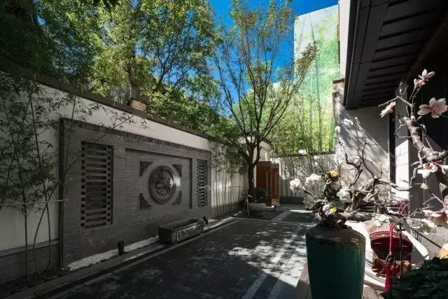 城市森林里的清新,城市山林