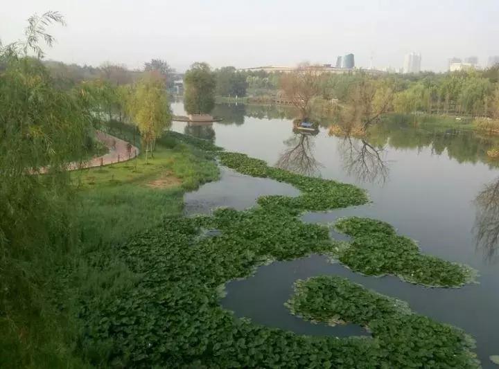 原创诗词六首秋韵吟草,秋夜五绝原创诗词