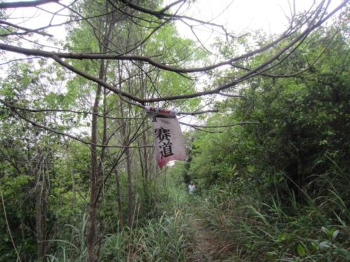 深圳10大山峰登峰最快,梧桐山和惠州大南山哪个高