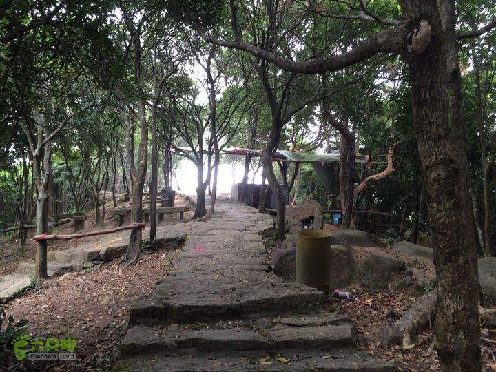 深圳10大山峰登峰最快,梧桐山和惠州大南山哪个高