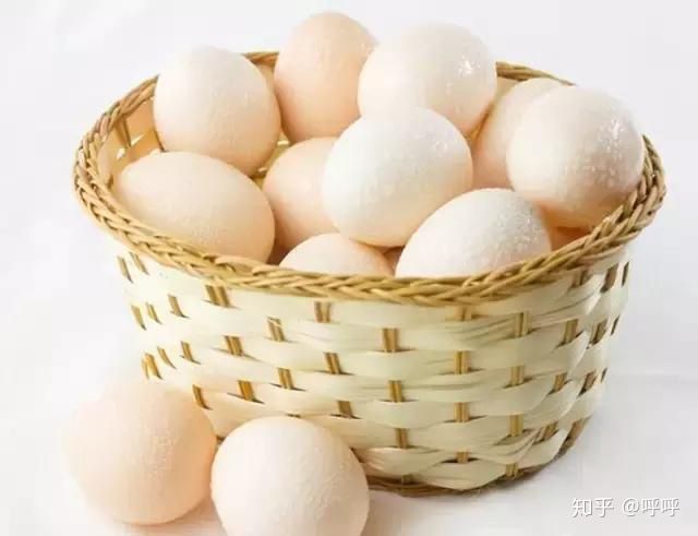 科学合理的减肥食谱,科学减肥方法有哪些视频