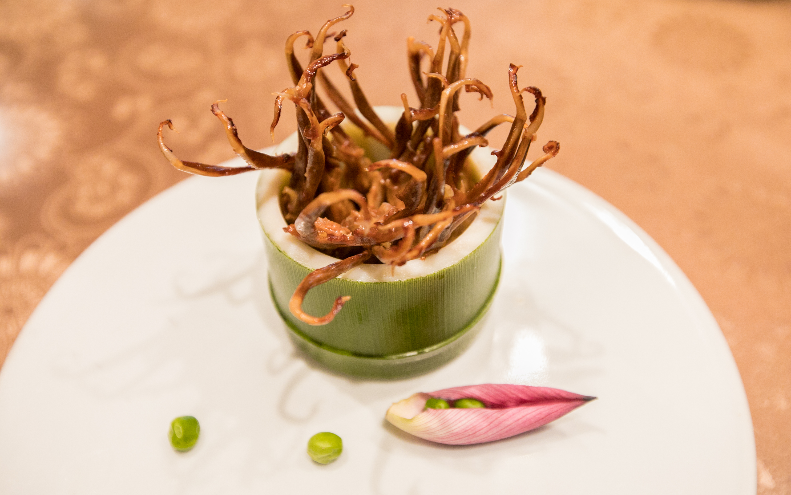 三亚人间天堂鸟巢度假村真实情况,三亚亚龙湾鸟巢度假村老板