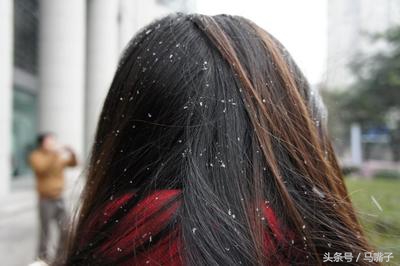 阚清子安利的洗发水,阚清子袋鼠洗发水