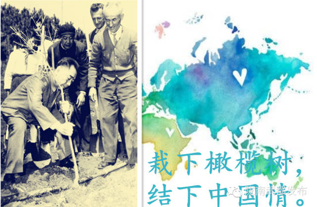 今生广种橄榄树，来世还做陇南人！