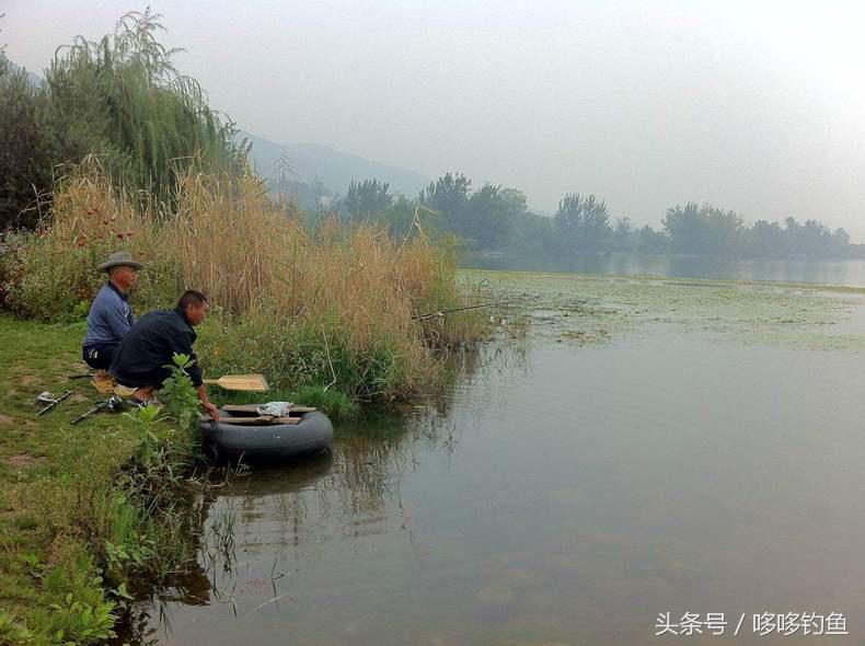 秋天下雨鱼怎么好钓,秋天突然降温鱼该怎么钓