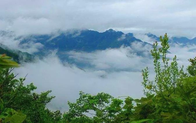 丽水遂昌市区,在丽水的遂昌