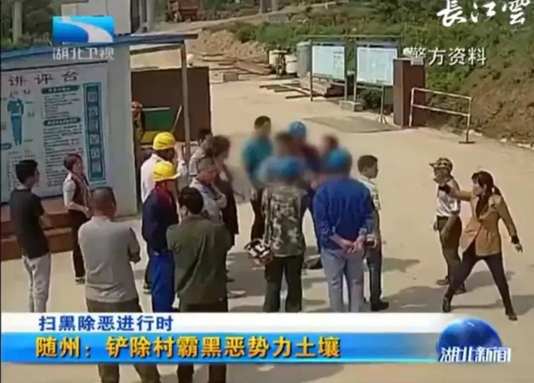 「扫黑除恶」坐牢回来“当选”村主任，扬言山、地、石头都是他的！结果……