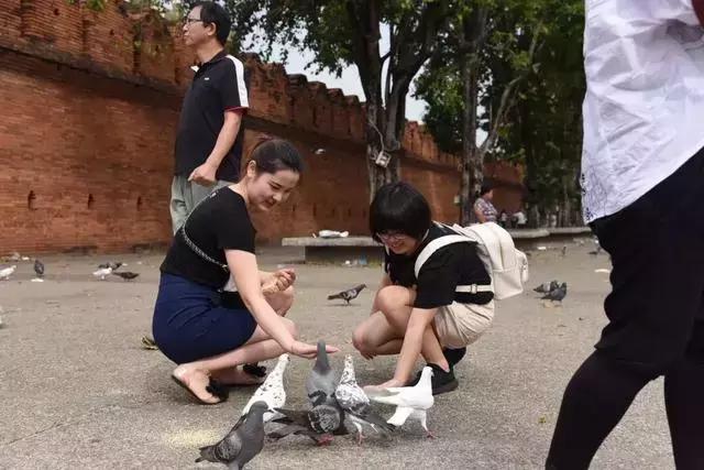 清迈亲子旅游注意事项,清迈亲子旅游美食