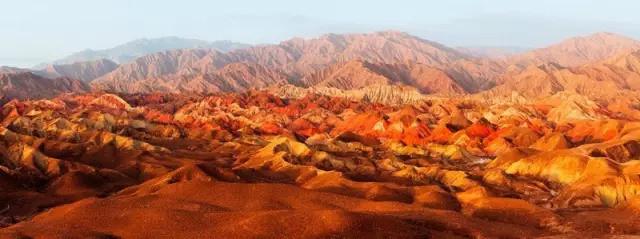 全国各地特产大全视频,长白山特产林下灵芝片东北特产50g