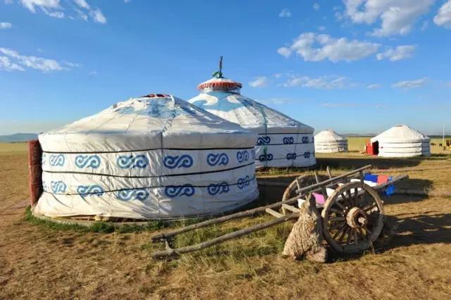 全国各地食用土特产有哪些,全国各地家乡的特产及用途