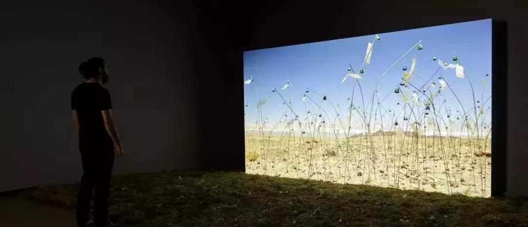 暑假余额已不足无法充值,假期余额不足充值失败