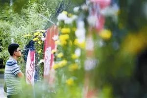 深圳失去了就会爱上的城市,深圳现状是什么