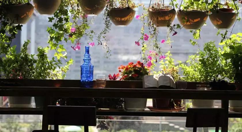 成都民宿有哪些,成都市区特色民宿排行榜