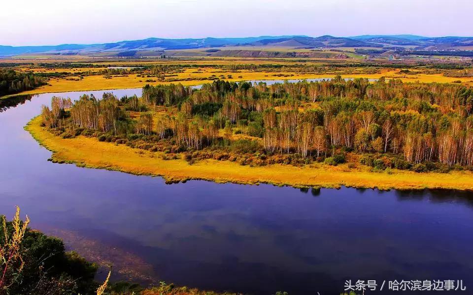 东北特产排行榜前十名黑龙江,黑龙江佳木斯桦南县十大特产