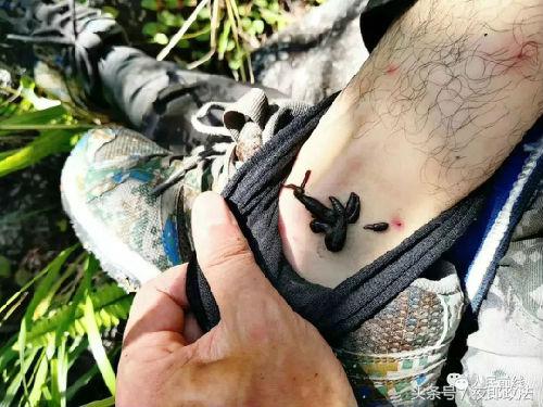 西藏军人偷偷回家感人视频,西藏老兵退伍催泪视频