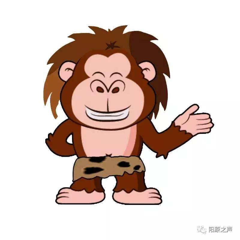 新规来了这些新规将影响你的生活,政策来了是不是开始实施了