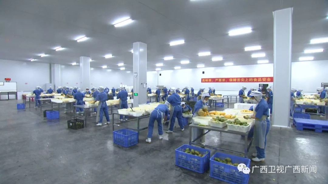 凭祥口岸2020年商品出口占比,凭祥畅通绿色通道口岸繁忙而有序