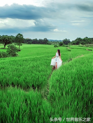 陶笛10首，经典天籁，滋润心灵！（收藏）