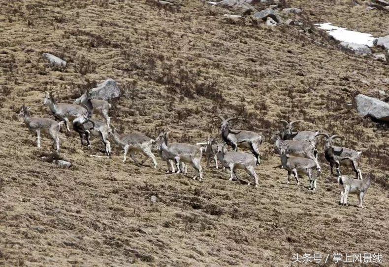 青海有片神秘之境,青海的神秘景点