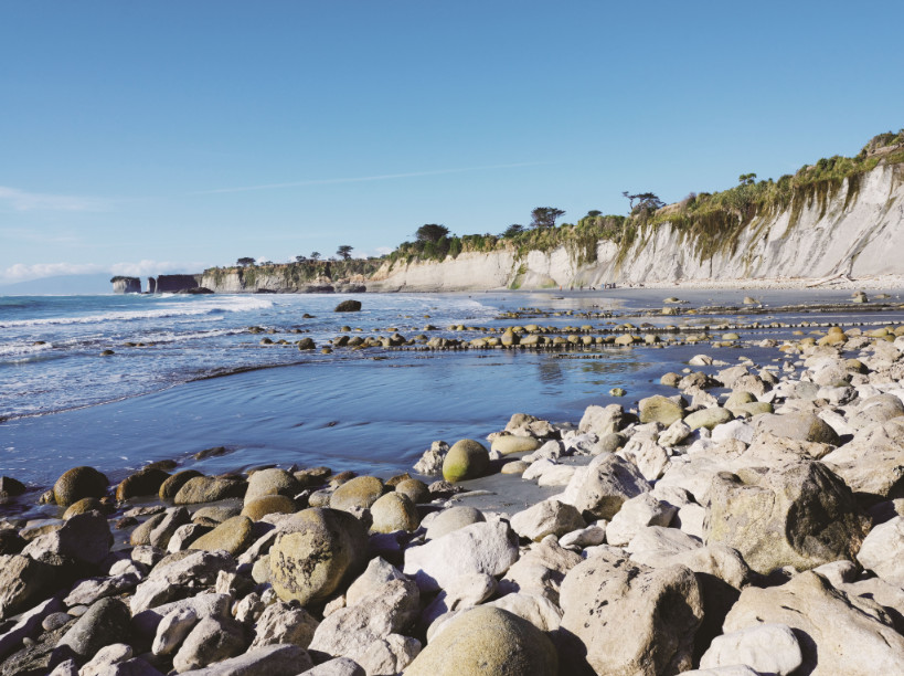 美纳多欲做新西兰奶粉“第一品牌”，底气何来？