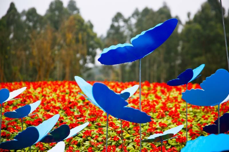 国庆大假成都周边哪里玩一天,成都绿道步行攻略都在这