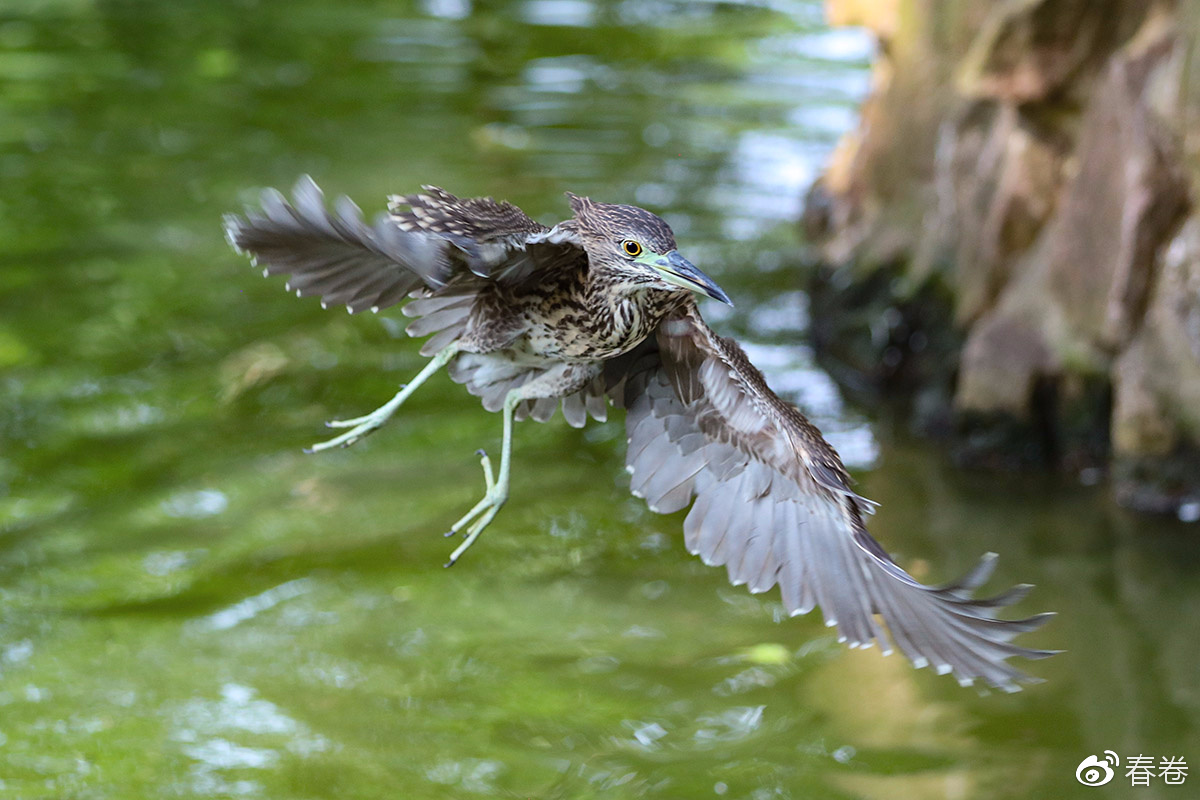 佳能人像风景原图直出参数,佳能复古风人像
