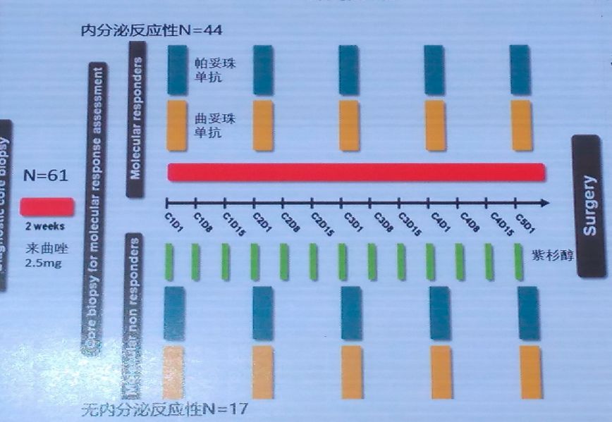 如何判断乳腺癌内分泌治疗耐药,乳腺癌内分泌治疗怎么看是否耐药