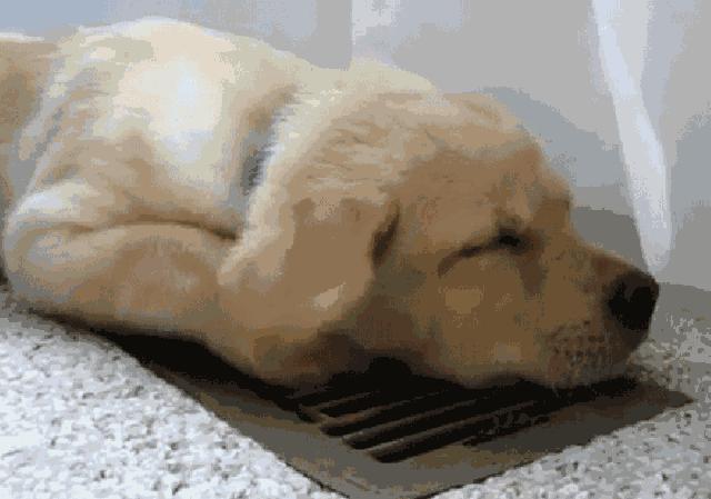 祝你身体健康美满幸福,祝你身体健康天天开心