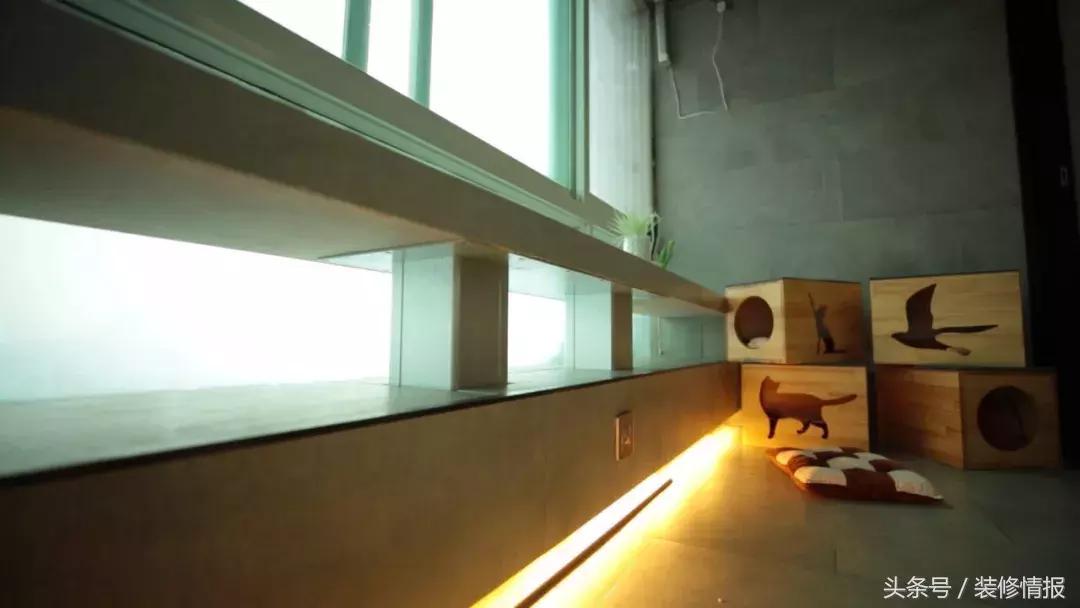 帅气舞蹈家的小阳台变身北欧风“秘密花园”诗和远方！