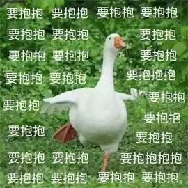 粉丝的包包,粉丝的口红