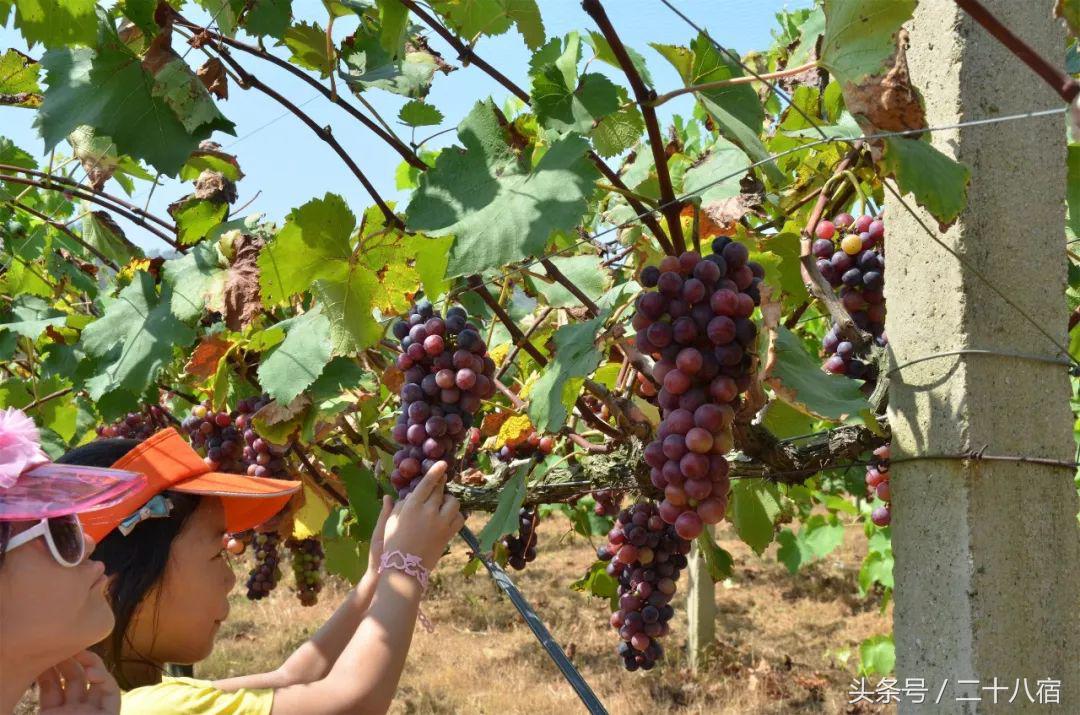 陈柏霖一个人的旅行,陈柏霖花少完整版视频