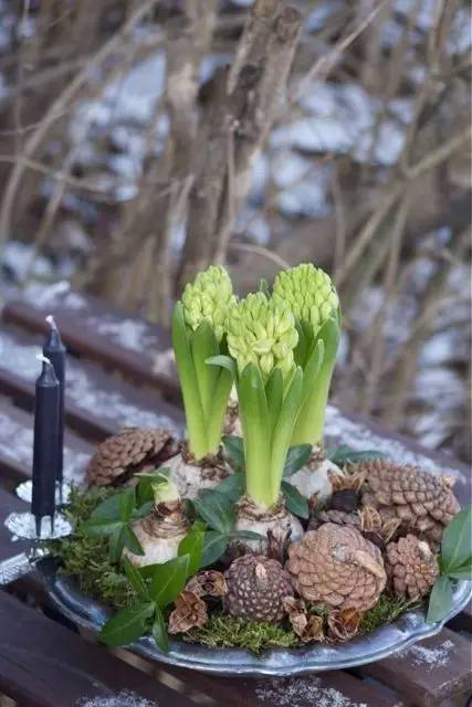 用松塔做的创意吊饰,松塔加树枝创意手工吊饰