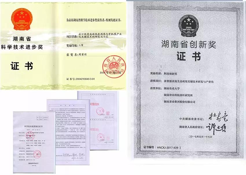 湖南千亿茶产业,湖南茶业产业发展现状