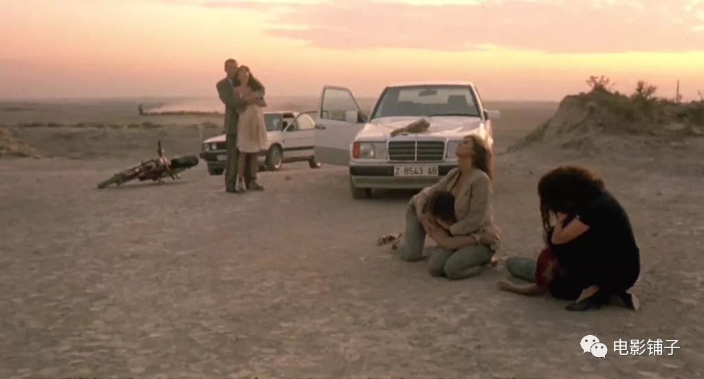 知音体伦理故事,被这片拍了出来