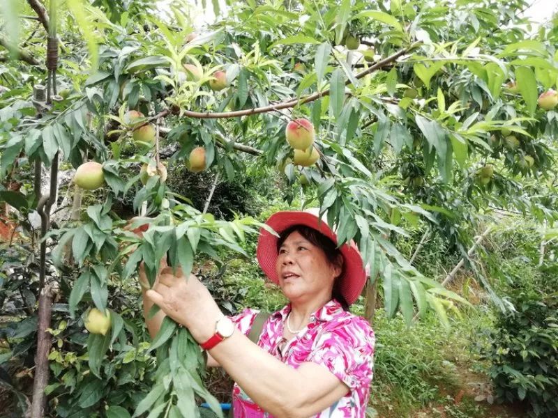 韶关曲江乳源诗友结袂自然游集诗三十首