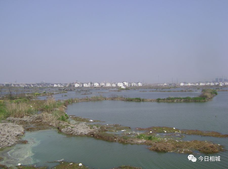 吴县撤市设区文件、80年代结婚证……相城那些陈年往事首度“曝光”