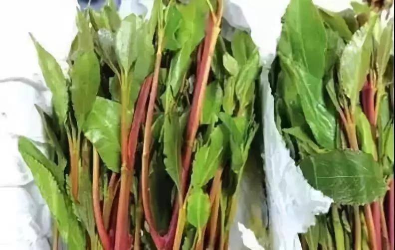 这几种药片不能吃,有毒的和无毒的药片