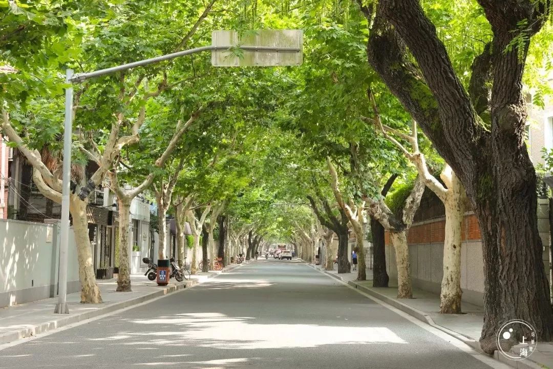 上海地铁5号线什么时候建成,上海5号线南延伸规划